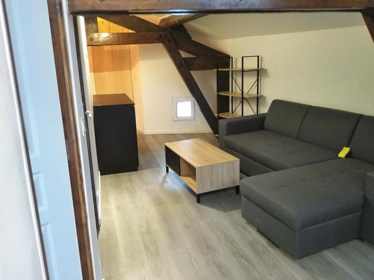 Detente - Appartement Et Poutres Apparentes Beziers Ngoại thất bức ảnh