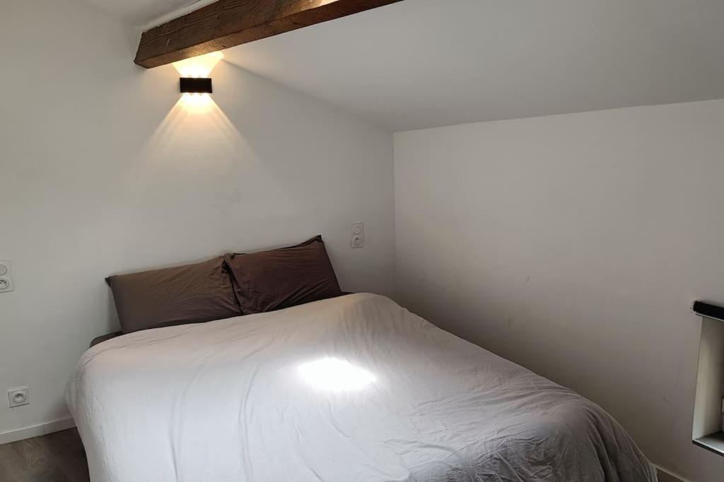 Detente - Appartement Et Poutres Apparentes Beziers Ngoại thất bức ảnh